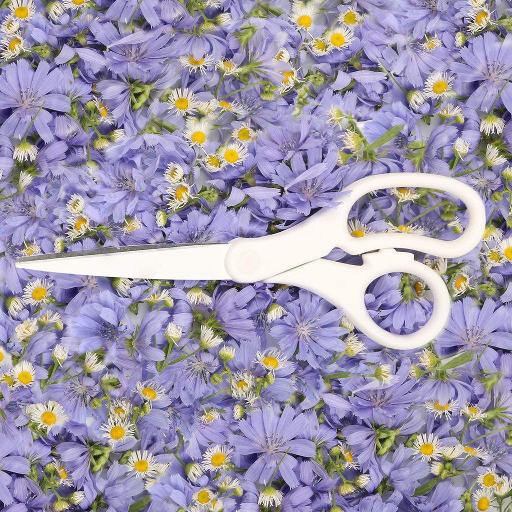 JAM PAPER Multi-Purpose Precision Scissors - 8 Inch - White - Ergonomic Handle & Stainless Steel Blades - Sold Individually